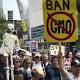 Analysis: Scientists agree GMOs are safe, but unlikely to convince skeptics quickly 