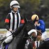 カレンブーケドールがジャパンＣを回避 | 競馬ニュース - netkeiba.com