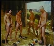 Another day on the farm jpg x Vintage farm
