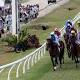 Top praise for Cairns Amateurs Carnival 