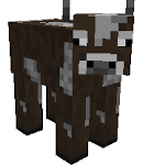 imagesqtbnANdGcQQoloUaGFpReGGlCJ