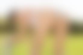 山中知恵　乳首|新品】山中知恵(11) 良品L版10枚 グラビアセクシーショット水着下着の落札情報詳細 - Yahoo!オークション落札価格検索 オークフリー