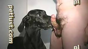 Men having sex with animals jpg x Men having sex with animals