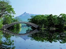 http://t3.gstatic.com/images?q=tbn:ANd9GcQRVUwRf1RckOEkXNlkDW_Ko-Fe1UmXgALVRIqKGyukxW-_-lb7cA