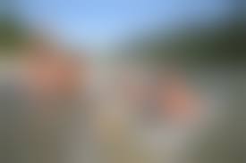 french  family naturist|French nudists, furious librarians and twin commissioners – POLITICO