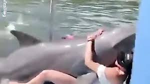 Dolphin tube porn videos faphouse jpg x Dolphin tube