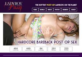 Ladyboypussy model jpg x Ladyboy pussy