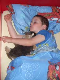 rajce  [[[[deti idnes rajce sleep 4|Nová Trojka - Příměstský tábor Nové Trojky ♥ Den plný... | Facebook