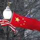 The US applauds 'productive' investment talks with China 
