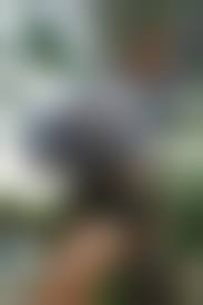 Farangdingdong set 1|New Girls Preview