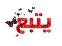 حــــصريا جدا---ان يشغل اغانى وانت images?q=tbn:ANd9GcQ