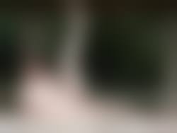 野外露出　のんべーの妻|野外露出 画像投稿掲示板 投稿内容