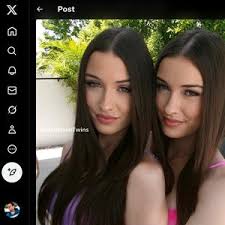 Meet the twins porn dvd jpg x The twins
