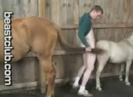 Man gets fucked horse jpg x Man gets fucked by horse