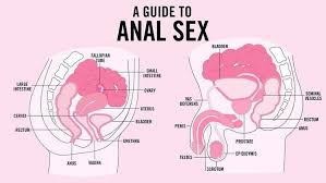 Anal sex frequency statistics jpg x Anal sex health risks