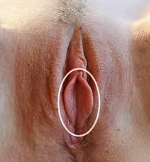 Vulva close jpg x Vagina vulva