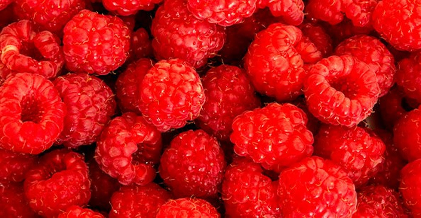 Smoothie King by null