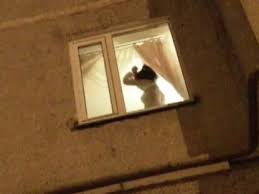 Window peeping jpg x Window peeping