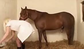 Horse fuck girl porn videos jpg x Girls fucking horses