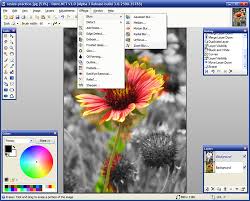 Paint.NET v3.5.8