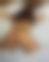 jessi biranna nude|Mango A Nude in Fortezza at Metart Hunter