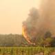 Deaths rise to 23 with hundreds missing as wildfires scorch California wine country 
