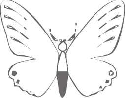 images?q=tbn:ANd9GcQavJJ5c-JBGRNbRmBb5DPN3C8fhXqGRurjJ_7VTOD3Vaid7rhd