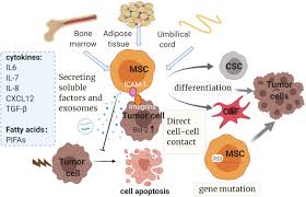 tvn.hu nude ls young models 7|Town parties name candidates