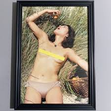 ひし美ゆり子ヌード|目立った傷や汚れなし】□ひし美ゆり子□ヌードグラビア②/A4額装品/写真集/ウルトラセブン/友里アンヌ隊員/女優/昭和レトロ A368の落札情報詳細  - Yahoo!オークション落札価格検索 オークフリー