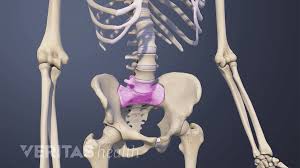 pimpandhost Ist5 1|Stomach: Anatomy, function, blood supply and innervation | Kenhub