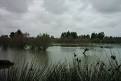 Image result for u202bتالاب گميشانu202c