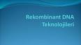 Rekombinant DNA Teknolojisi ve Tıbbi Uygulamaları ile ilgili video