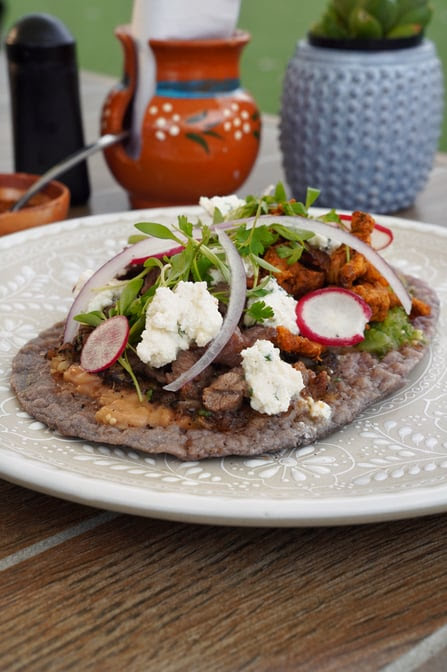 Suculenta Cocina Mexicana by null