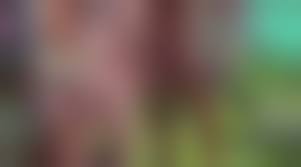 wnbr cfnm boy|WNBR Mex 2019 - XVIDEOS.COM