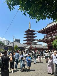 tokyohot 1583|Ini Tokyo Hot | TikTok