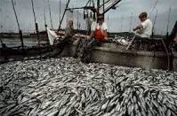 poisson