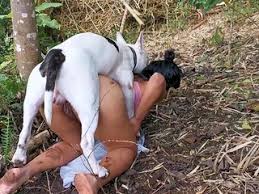 Xxx animal sex scenes jpg x Woman dog sex