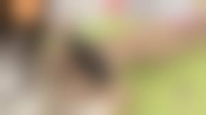 めざましテレビ　エロコラ|林佑香キャスター 自分からブラ紐をみせてしまうハプニング！！ : アナきゃぷ速報