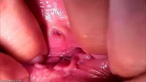 Moist pussy jpg x Moist pussy