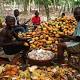 Farmers ask government to bring back Akuafo cheque system