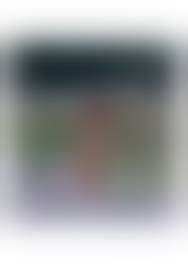 reona  nude photo|
