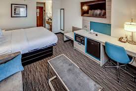 siberian mouse tanya nude|December 2022 Magazine by Dogs Victoria - Issuu