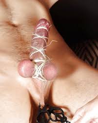 Femdom porn videos jpg x Femdom cbt