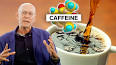 The History of Coffee: A Caffeinated Journey ile ilgili video