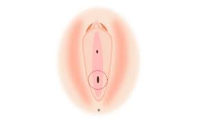 処女膜　無修正　画像|無修正動画 裏DVD】３Ｑレジェンド♥️衝撃の処女喪失動画からはや数年…透けるような色白スレンダー美裸体♥️未だに処女膜が残る無垢な美マンコ  後編【素人 ハメ撮り 個人撮影 色白 美少女 中出し】 - 裏DVD・無修正DVD・ストリーミング 【裏DVDマリア】