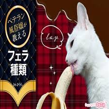  Posttome teenclub 1 поток avi JB|Registro del planeamiento urbanístico de Gipuzkoa