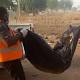 Bomb Blasts at Nigeria's Maiduguri University Kill 5 