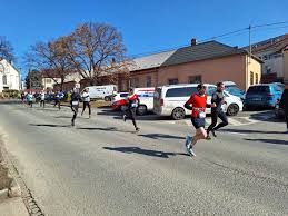 rajce.idnes.cz backyard 37|MPČR - Přírodovědné soustředění.