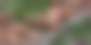 jr miss contest nude