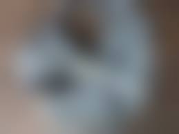 jc クロッチ　染み|♪しおり♪パンティ♪クロッチ♪☆女子中学生☆女子高生☆JC☆JK☆ショーツ☆下着☆ティーンズ☆通学☆普段用☆黄ばみ☆シミ☆整理品☆ECO5